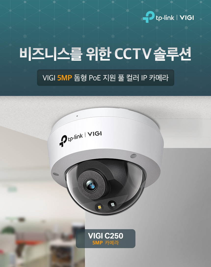 VIGI C250_1.jpg